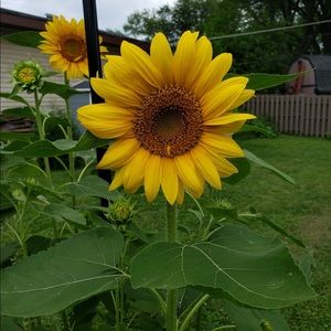 Meet your Posher, Sandra